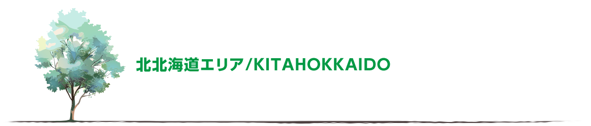 北北海道エリア